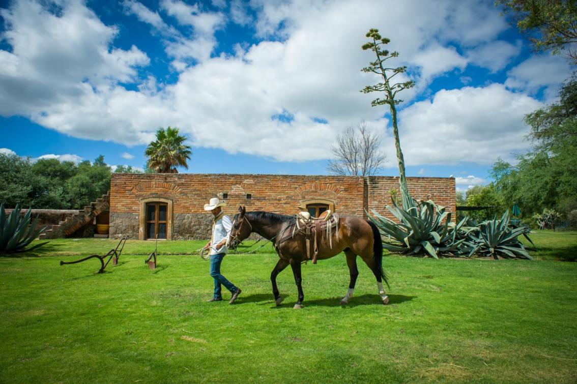 Hacienda Sepulveda Hotel & Spa (Adults Only) Lagos de Moreno Luaran gambar